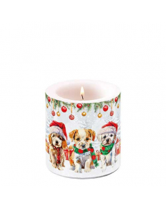 Candle small Funny cute puppies