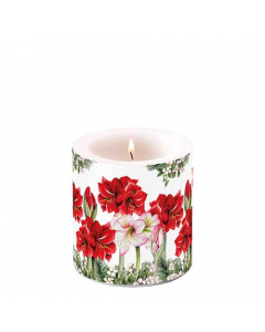 Candle small Blooming amaryllis white