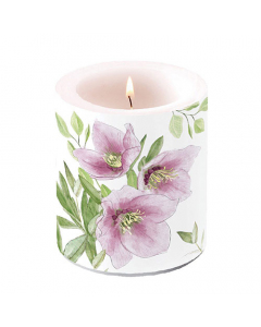 Candle medium Classic helleborus