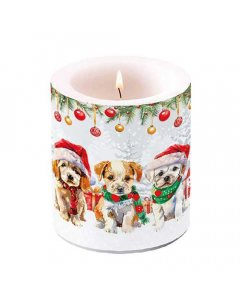 Candle medium Funny cute puppies