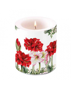 Candle medium Blooming amaryllis white