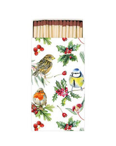 Matches Birds in winter
