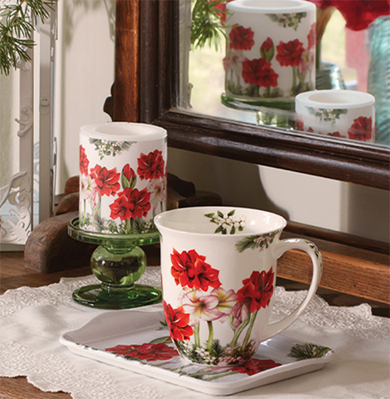 Image Blooming amaryllis